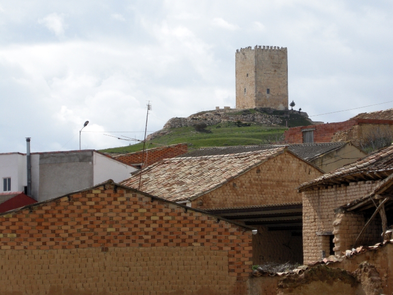 soria_2013 315